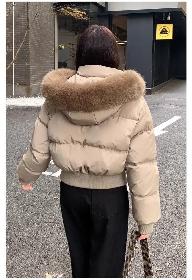 シンプルなファーカラーフード付きショートパーカーコート、ファッショナブルなストリートジッパーフード付きショートコットン服、冬服、女性用ジャケット