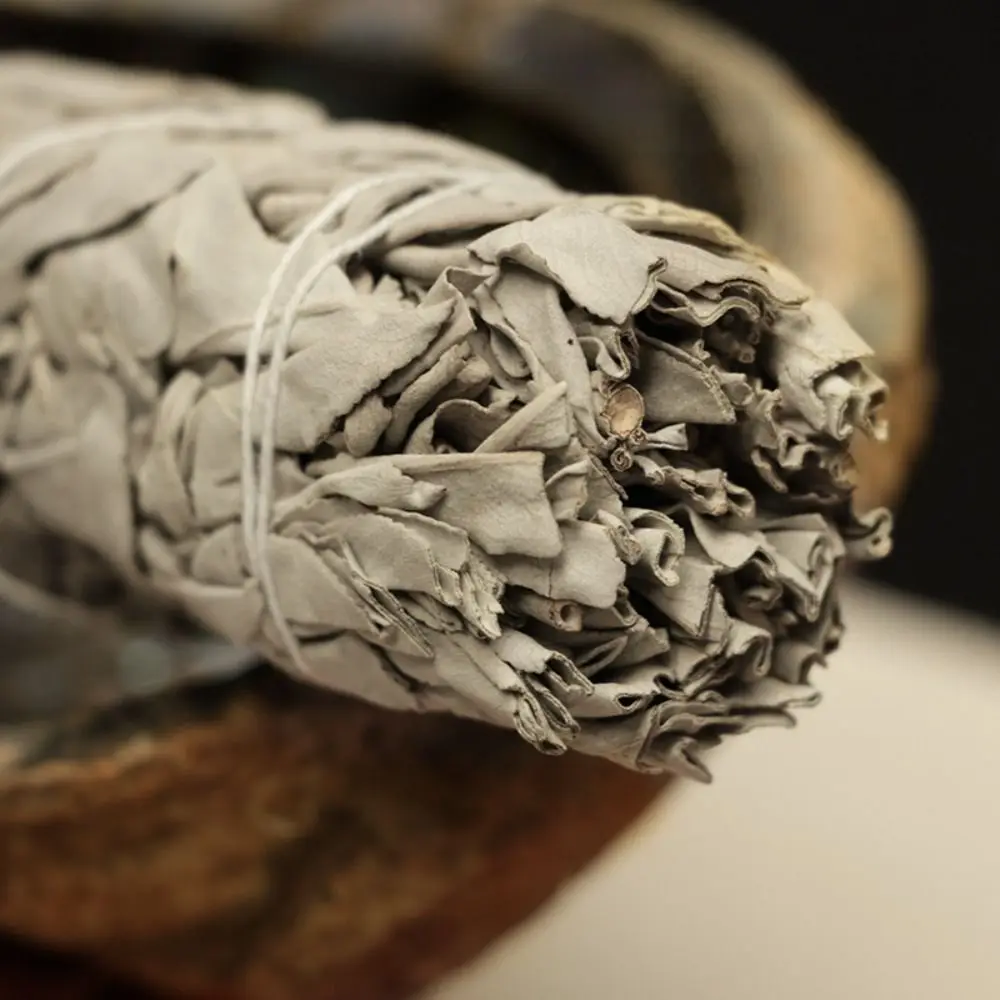 10 سنتيمتر المريمية البيضاء حزمة العملي المحمولة الروحانية البخور العصي الطبيعية متعددة الوظائف كاليفورنيا لطخة عصا العصا