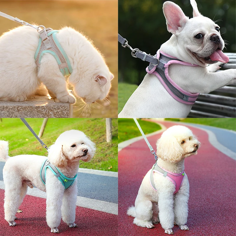 Cat Harness Leash ชุดสุนัขปลอกคอแมวสําหรับ French Bulldog Harness Vest ลูกสุนัข Chihuahua สัตว์เลี้ยงกลางแจ้งเดินสายจูง