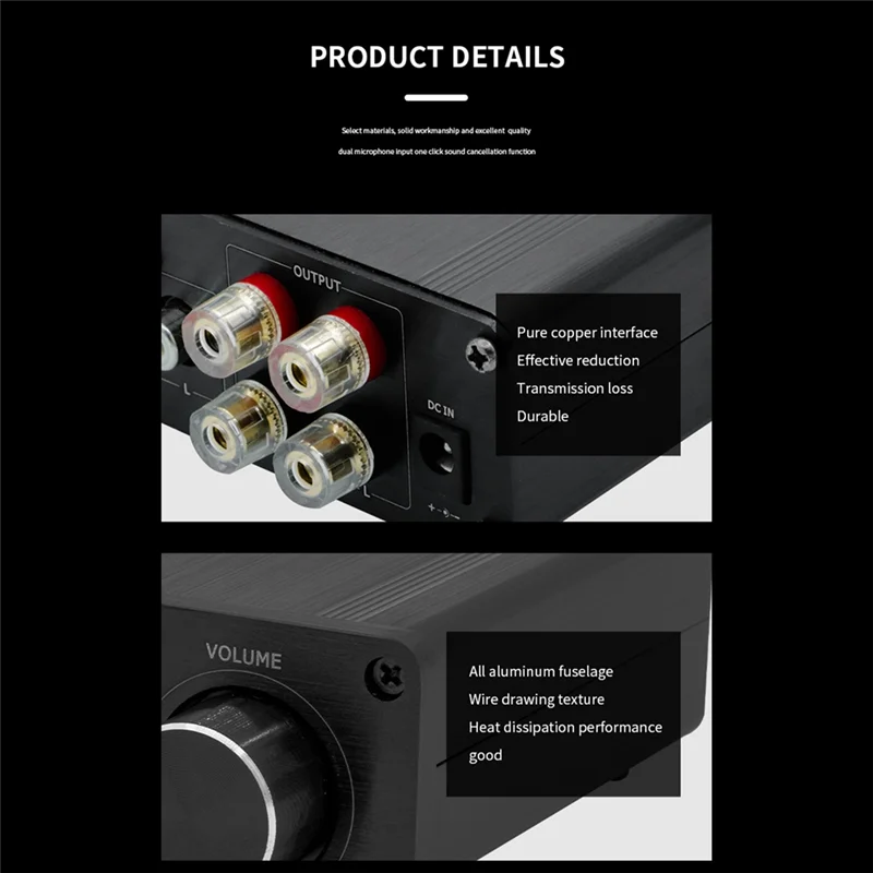 LDZS Bluetooth Power Amplifier Hifi High Power Digital Small Power Amplifier Bluetooth Power Amplifier For Home Use And Car