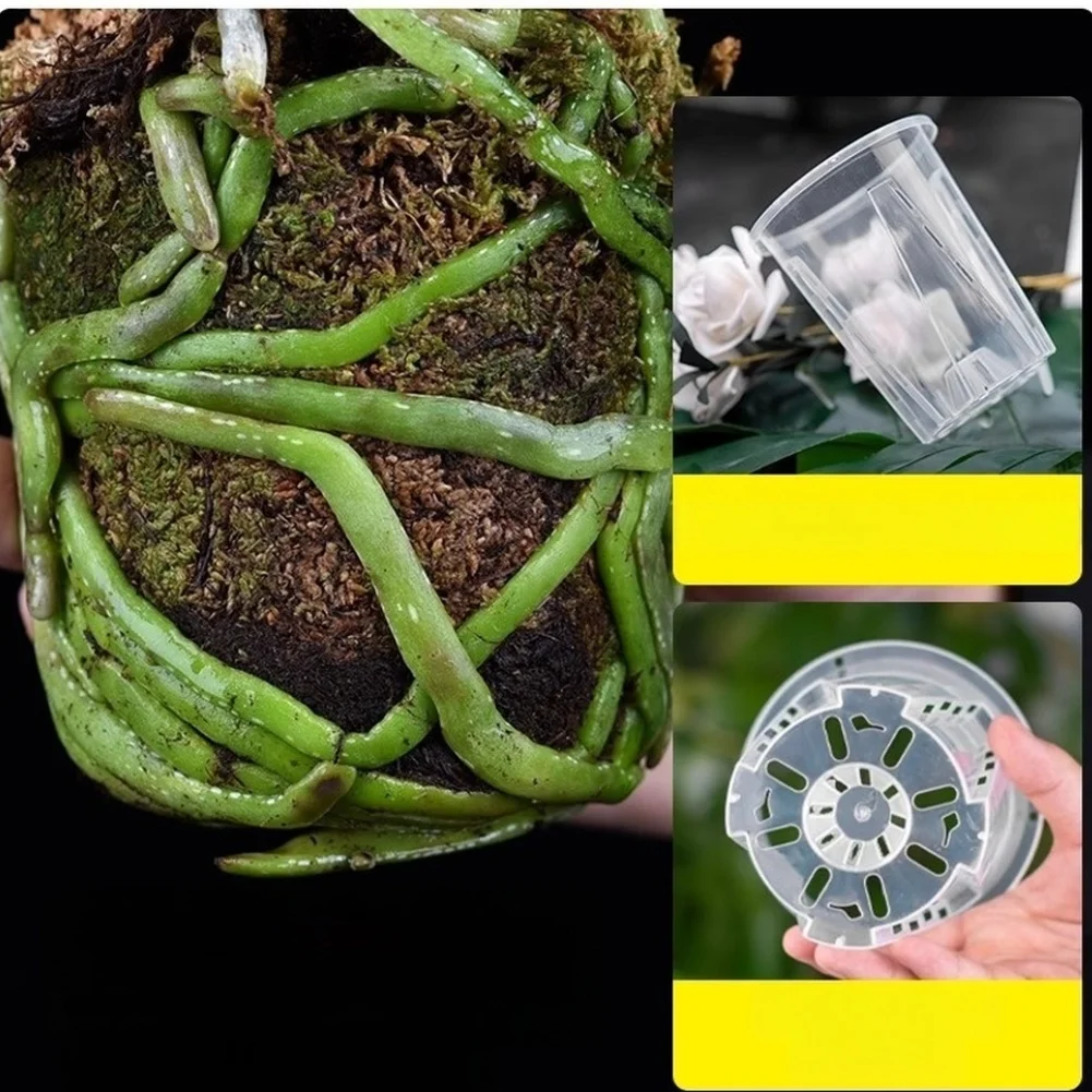 Transparent Resin Orchid Pot with Tray for Root Observation and Ventilation Home Office Decor 10x7.5x12cm 12 Pieces