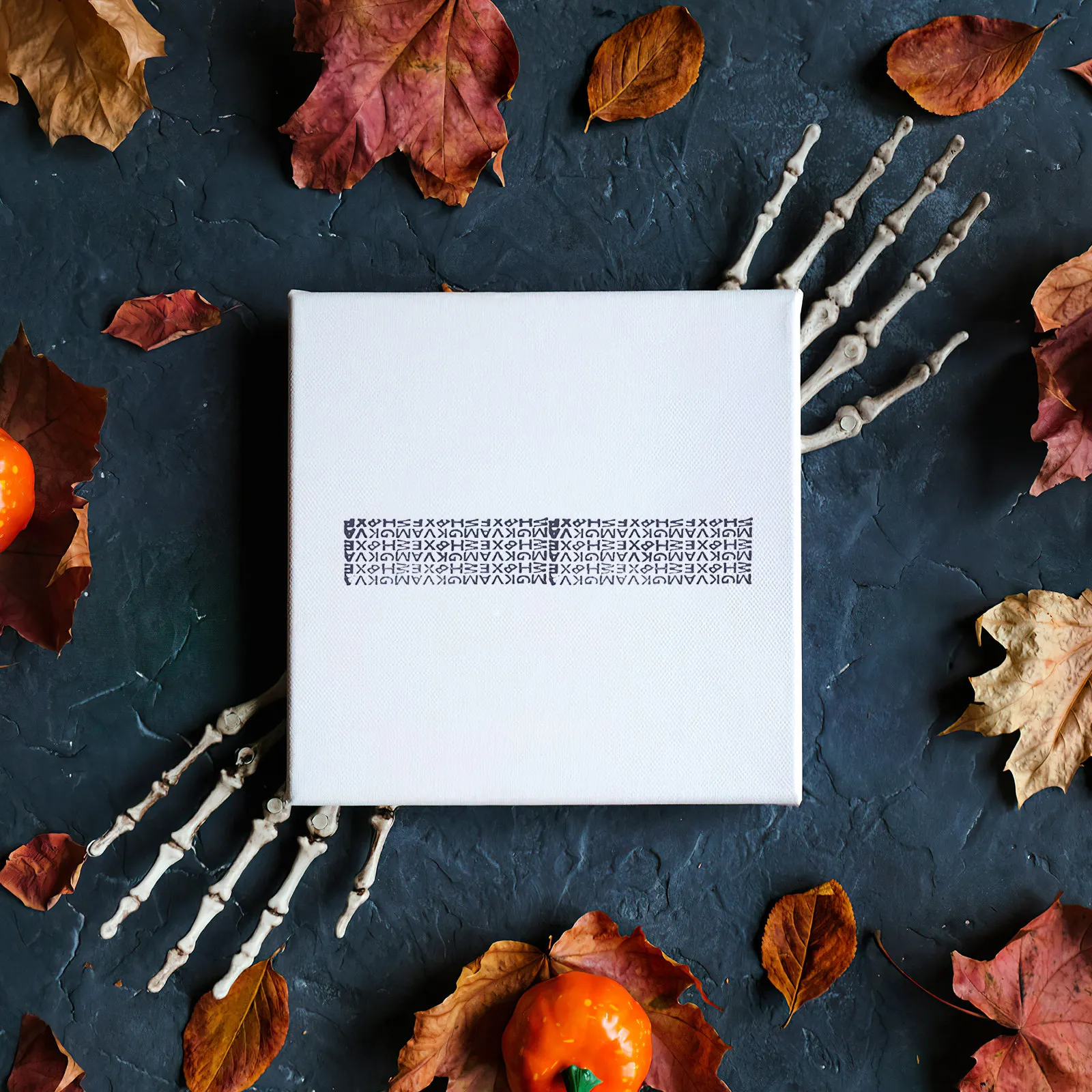 

Набор из 3 компактных самонаборных роликовых штампов для защиты конфиденциальности документов от кражи личных данных, подходит для конвертов и посылок