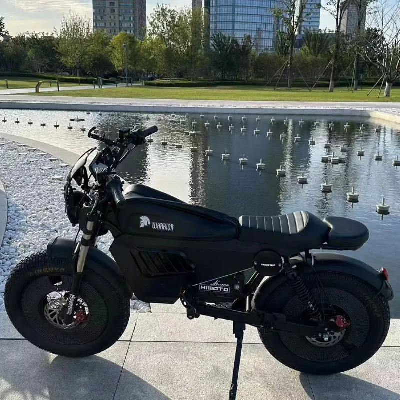 Black Warrior Motorcycle 3000W60V45AH Adult All-Terrain Mountain Electric Bike with LED Light 20 Inch Off-Road Fat Tire E-Bike image 9
