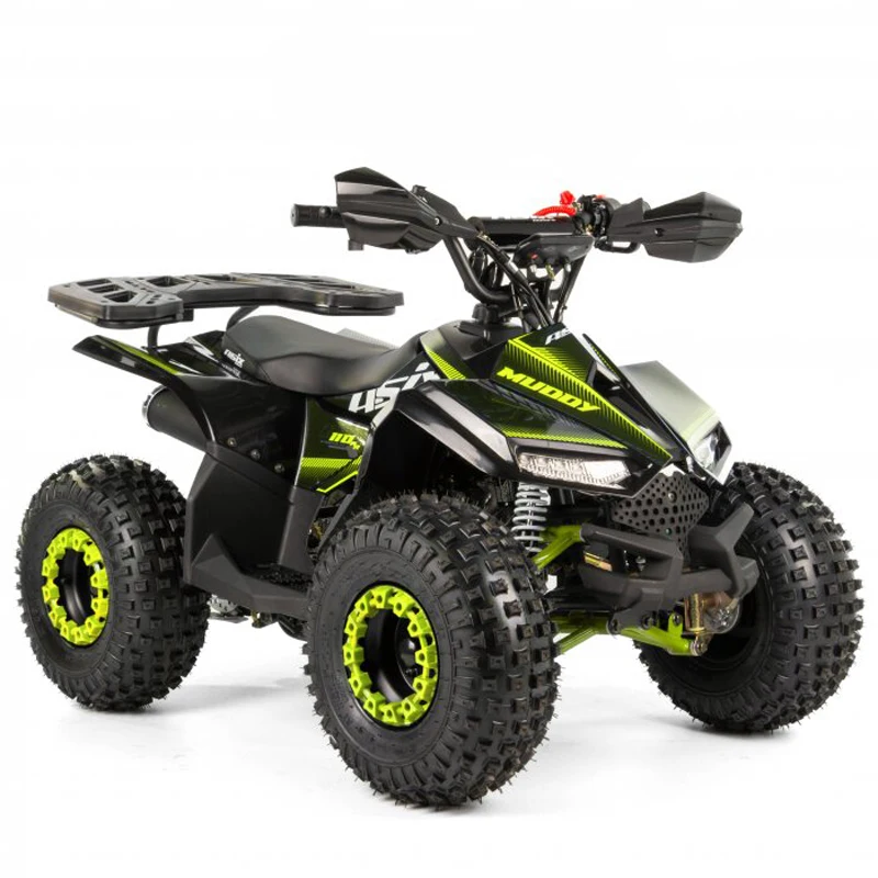 Tao Motor 2024 Automatic with Reverse Chain Drive Kid Mini Quad Bike 110cc ATV for Children