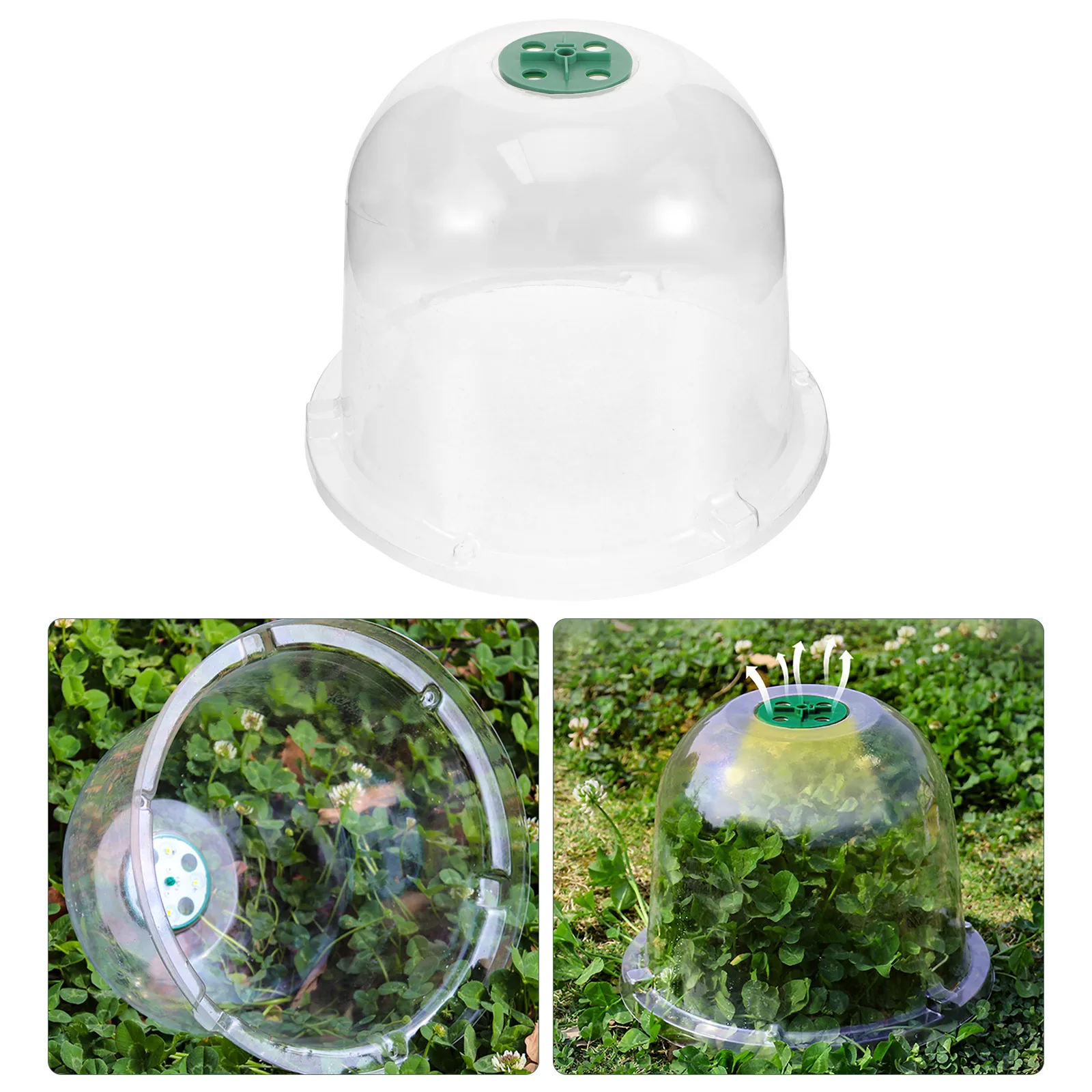 

Clear Dome Nursery Cover Plant Cloche Protective Protectors Transparent Garden Outdoor Mini Insulated Bell Cover Reusable Plant