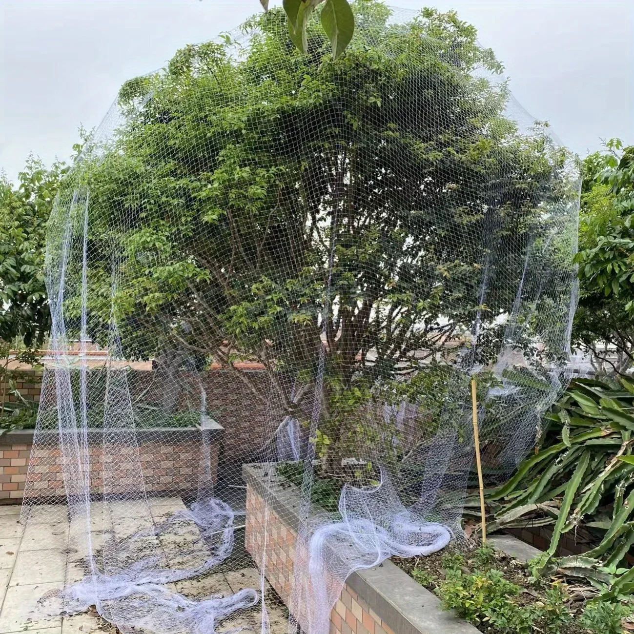1 piece of transparent bird proof net, suitable for grapes, greenhouses, fish ponds, and orchards, durable PP material, white