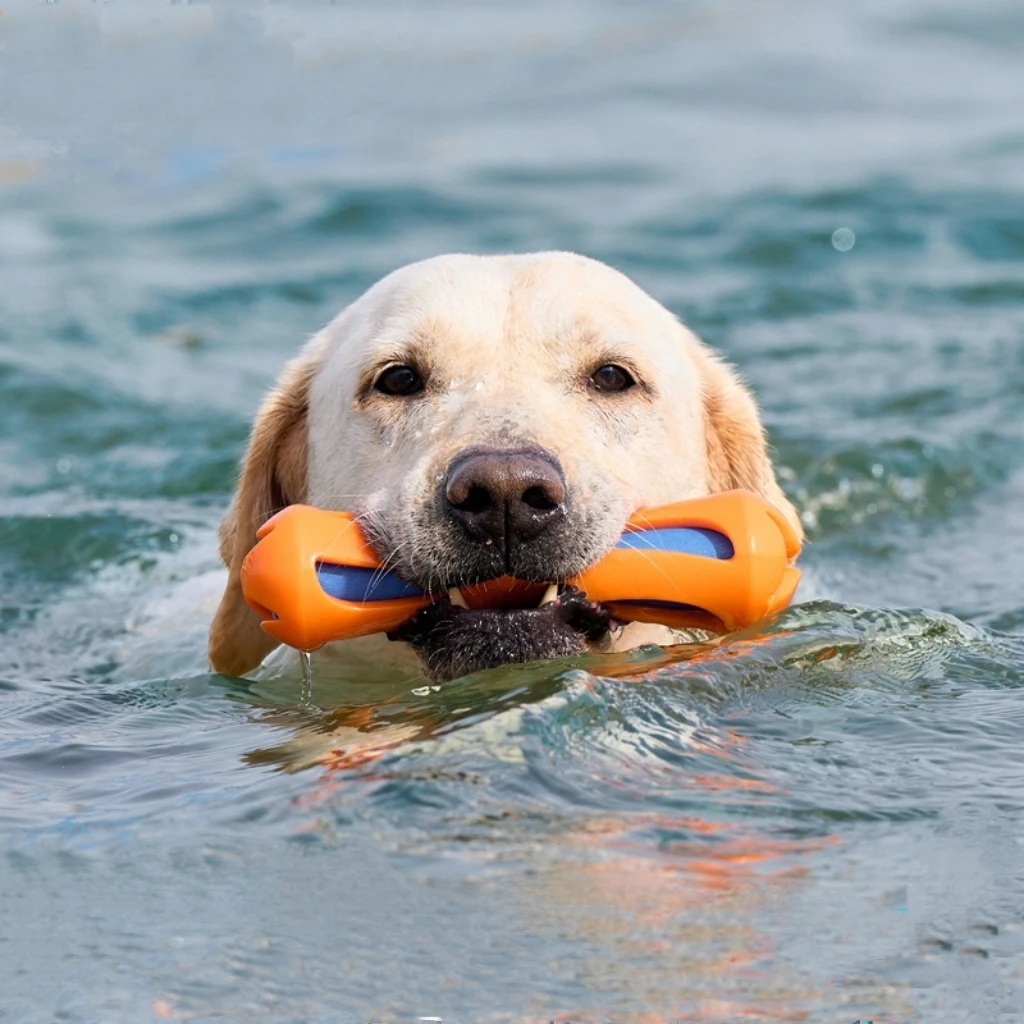 Juguete acuático interactivo para perros – Flotante y mordible - imagen 5