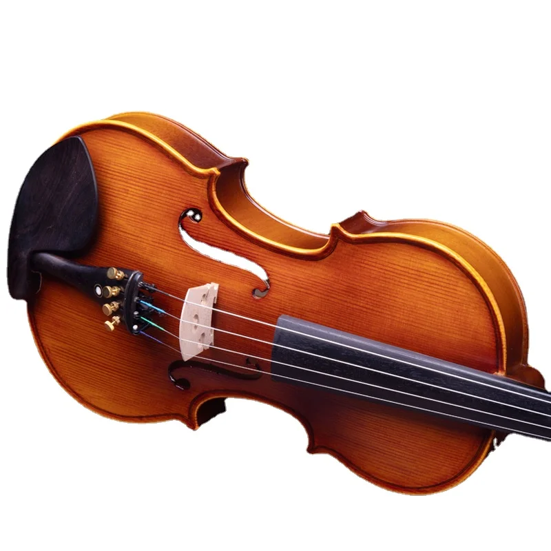 Violin beginners practice musical instruments 4/4