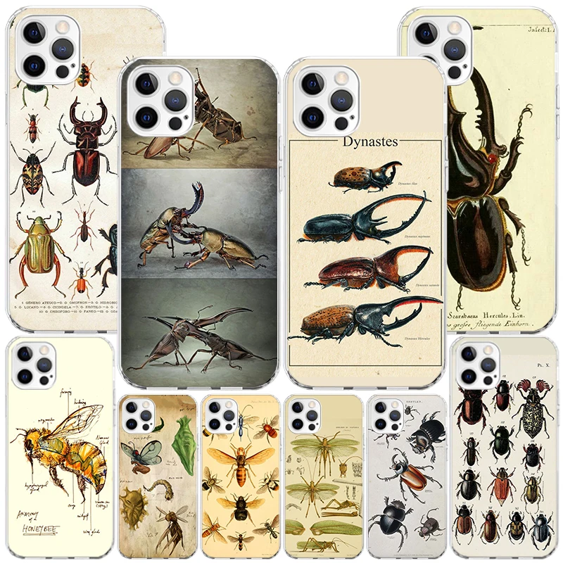 Bugs Bees Scientific Decomposition Phone Case For Apple iphone 16 Pro 15 14 Plus 13 12 Mini 11 Pro Max SE X XS XR 7 + Print Soft