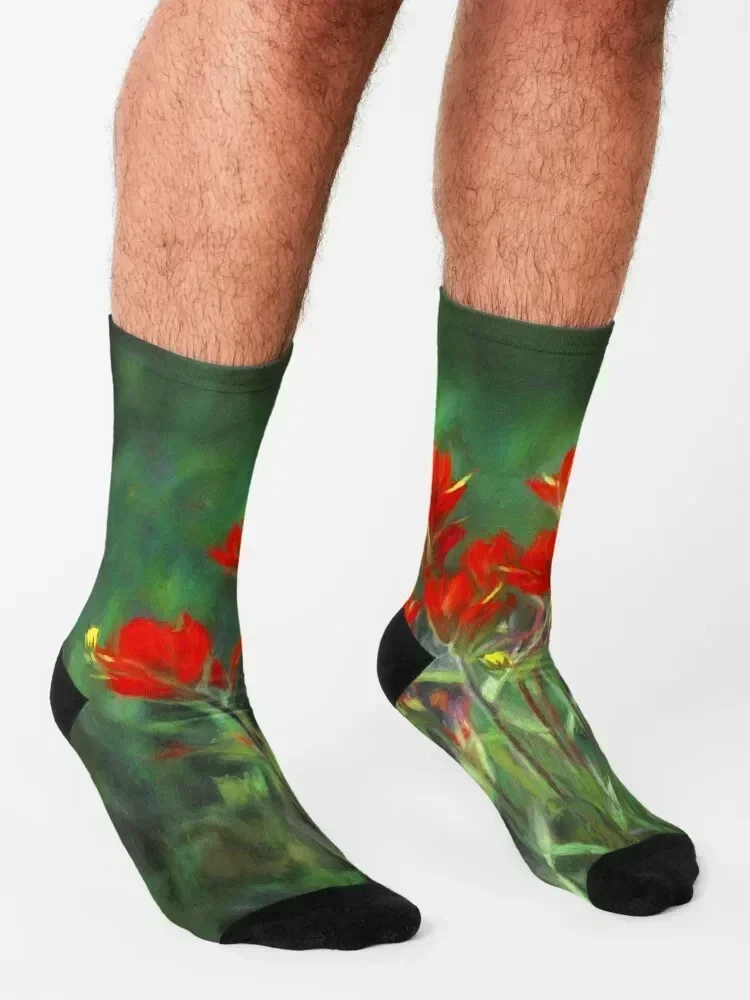 Indian Paintbrush Socks christmas gift Run christmass gift Stockings Mens Socks Women's