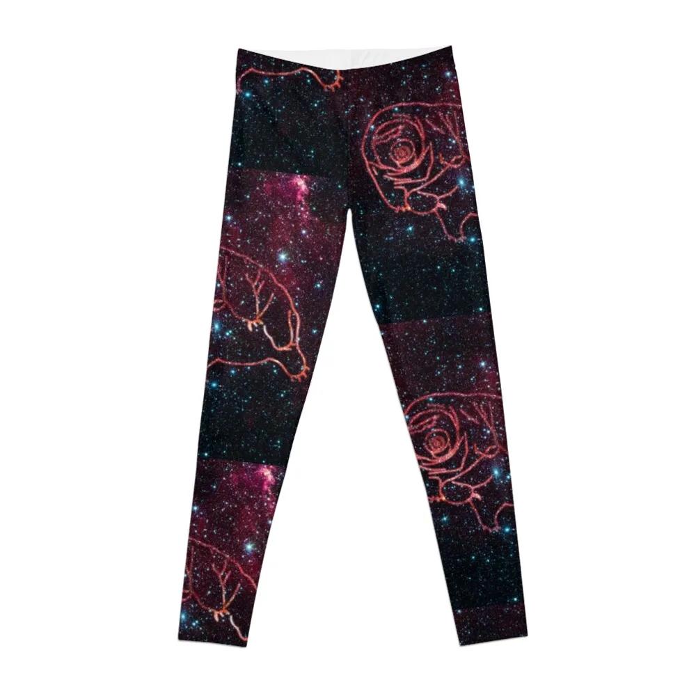 Cosmic Majesty - Tardigrade in a Star Field Leggings sporty woman gym sports for gym Women's gym Womens Leggings