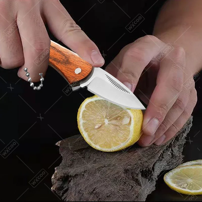 1PC Stainless Steel Mini Pocket Knife Multifunctional Fruit Folding Knife Fruit Knife for Kitchen Cooking Knife Accessories
