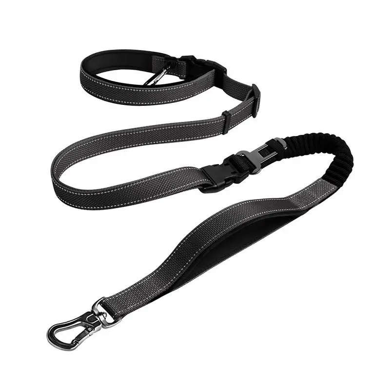 

Pet six-in-one leash, reflective night run multi-functional dog leash
