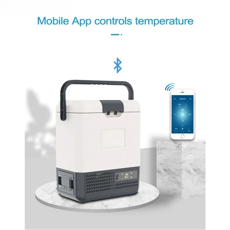 110V/220V Freezer Cooler Home Vehicle Truck Camping Fridge P8 8L Mini Car 12V/24V Portable Refrigerator