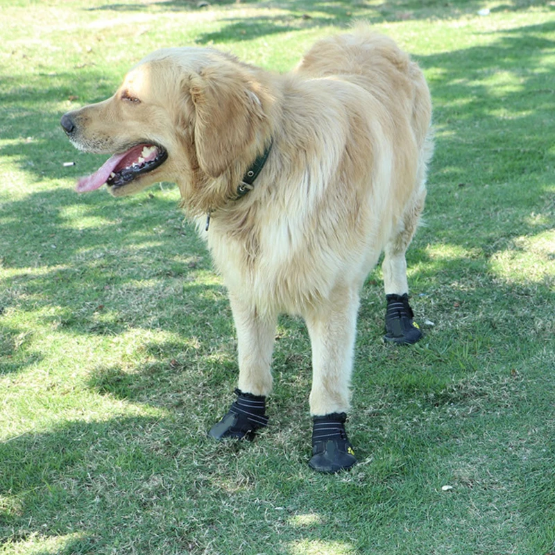 New Pet Big Dog Shoes Golden Hair German Shepherd Samoyed Waterproof Outdoor Supplies