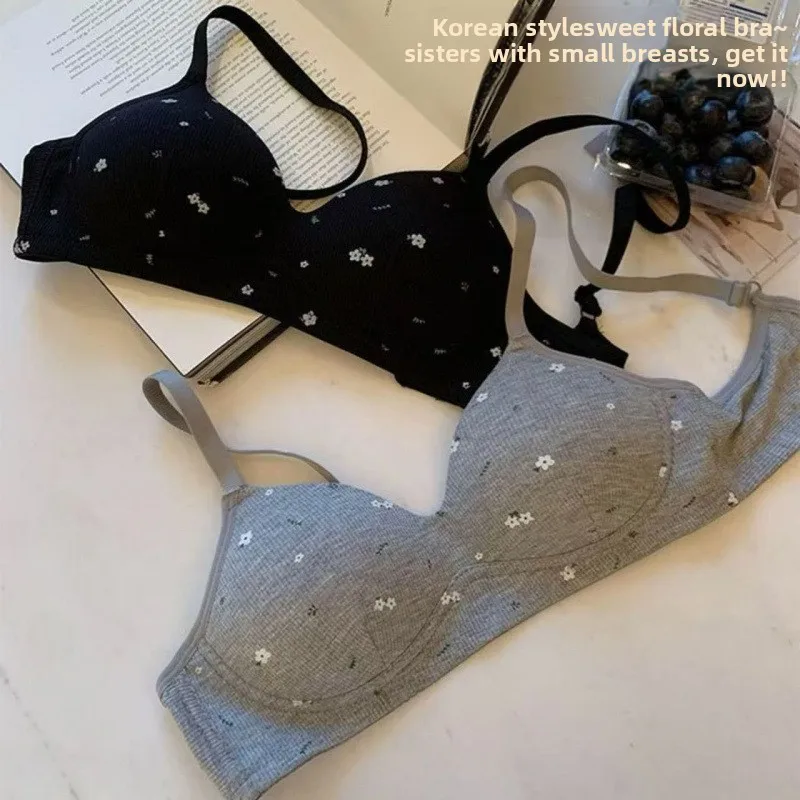 

Women's French Style Triangle Cup KT Cat Small Bust Gathered Chest Bra Direct Manufacturer Cross-Border E-Commerce Southeast Asi