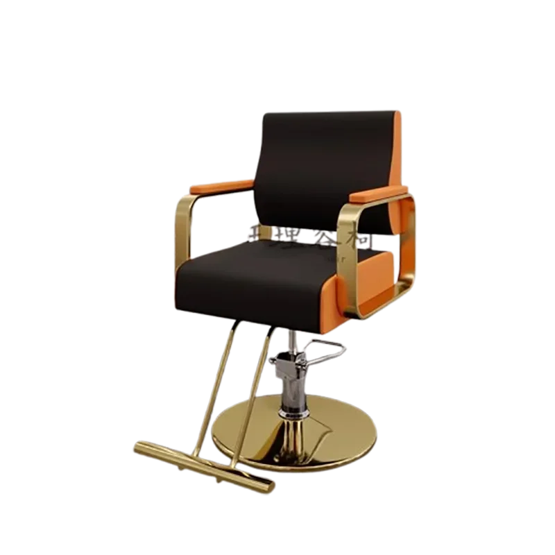 

European Storage Barber Chairs Simple Trendy Creative Elegant Salon Chairs Unique Design Krzeslo Kosmetyczne Salon Furniture