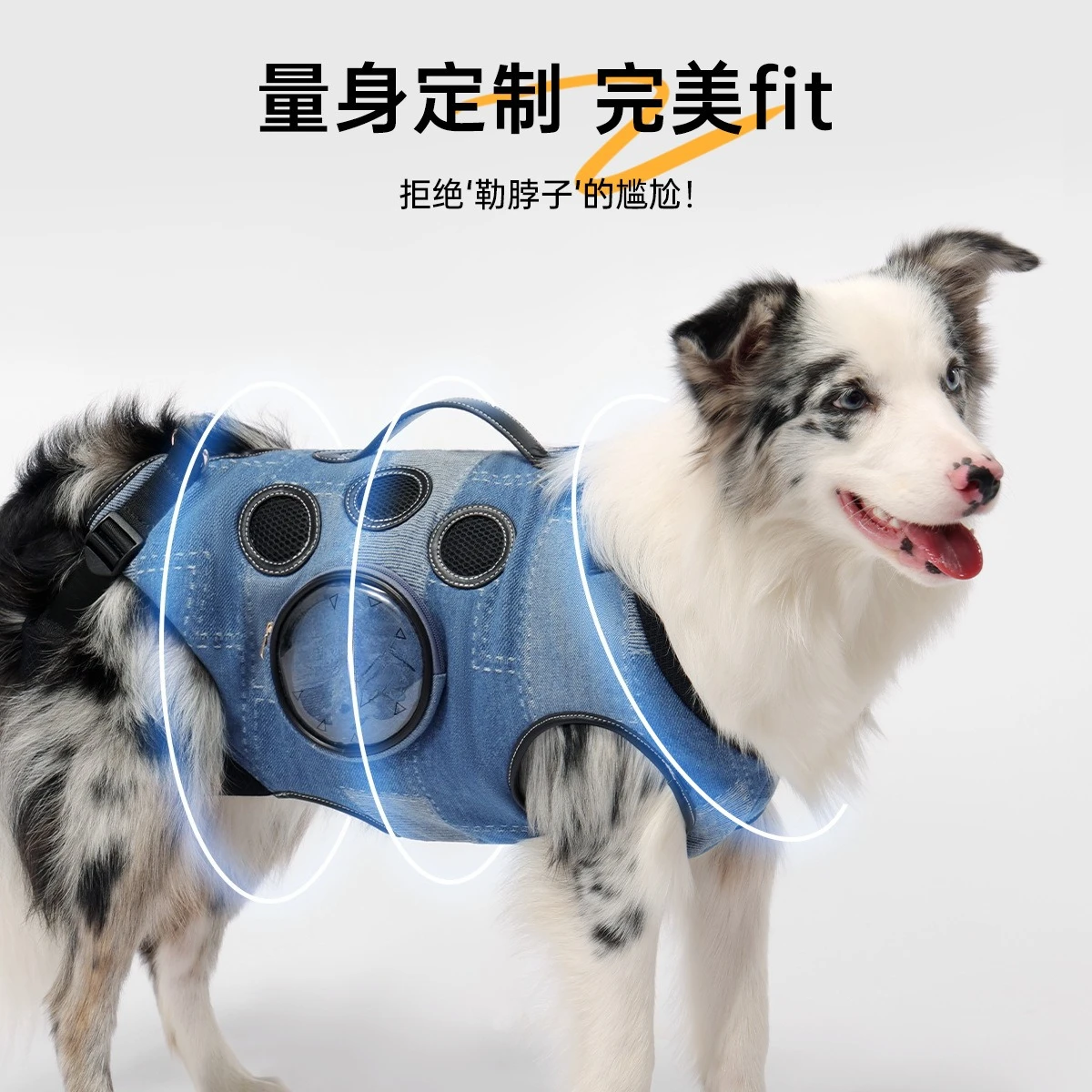 Backpack Small Medium Large Dog Riding Portable Artifact