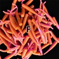 F 0040