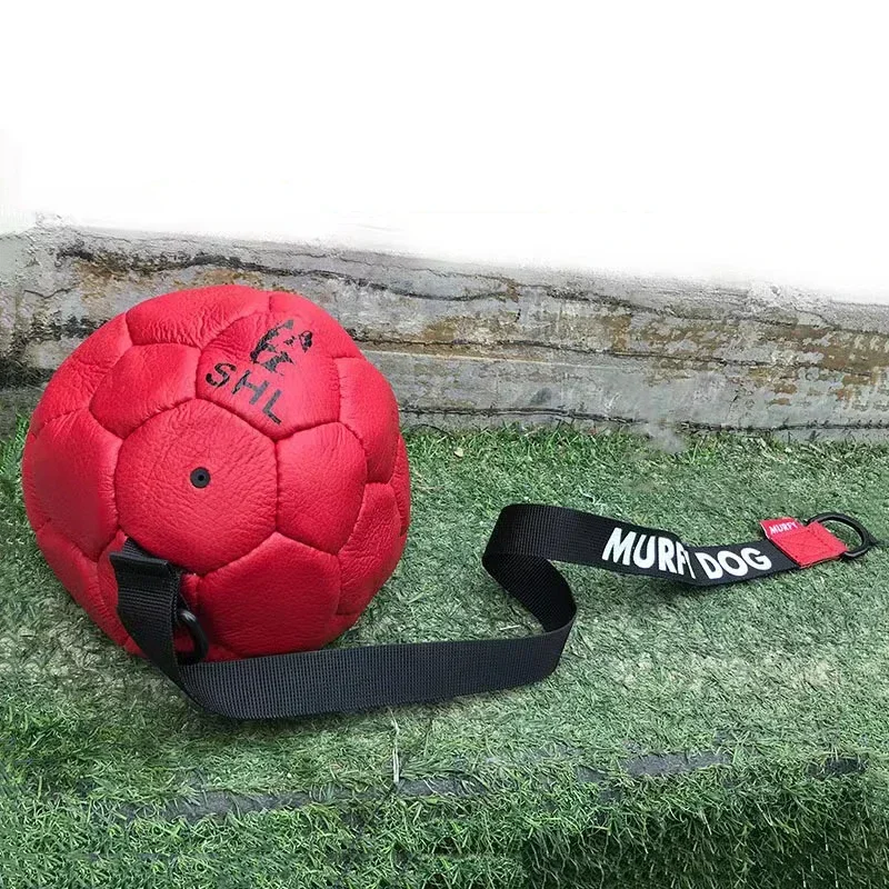 Bite-proof Pet Dog Ball Toy Cowhide Harmless Teeth Interactive Throwing Training Game Soccer Ball for Dog Pet Training Supplies