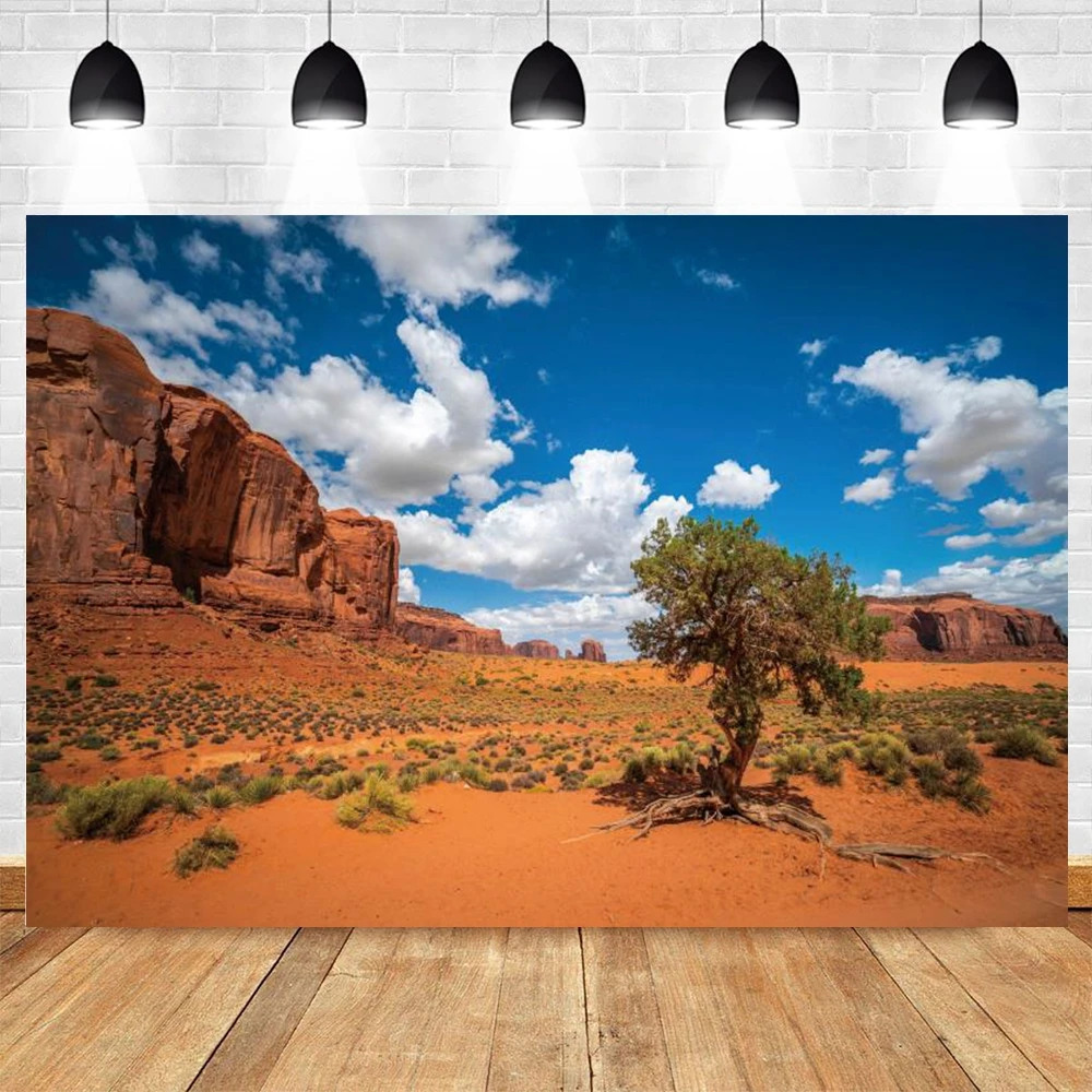 Western Desert Landscape Backdrop Cactus Plant Sand Blue Sky Birthday Party Portrait Photography Background Decor Photo studio