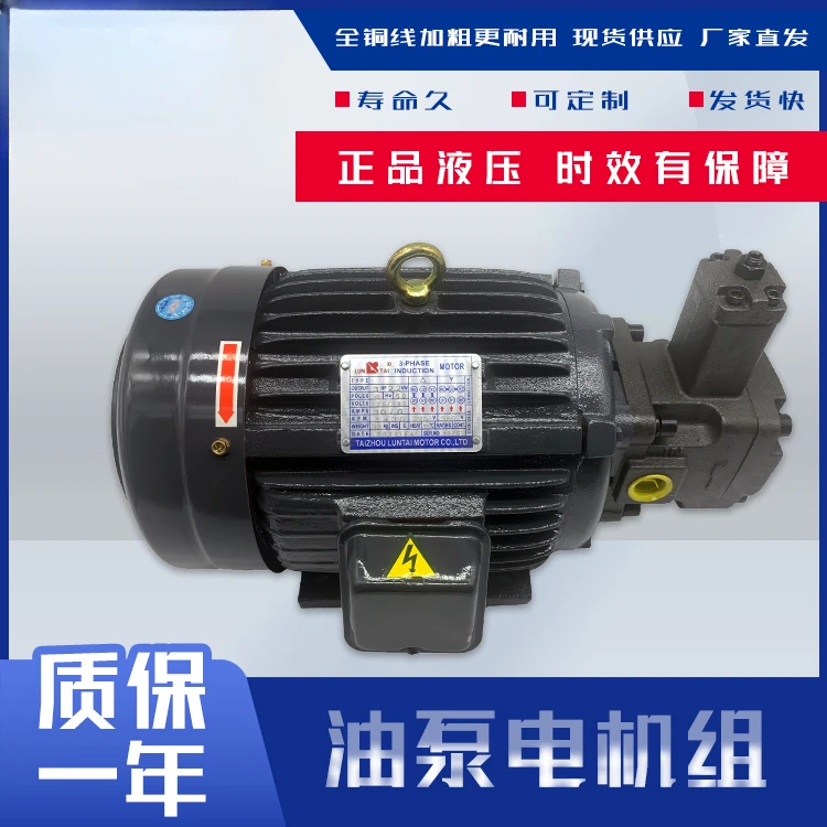 Hydraulic oil pump motor group VP20+0.75KW1.5 hydraulic pump assembly inner shaft hydraulic station accessory