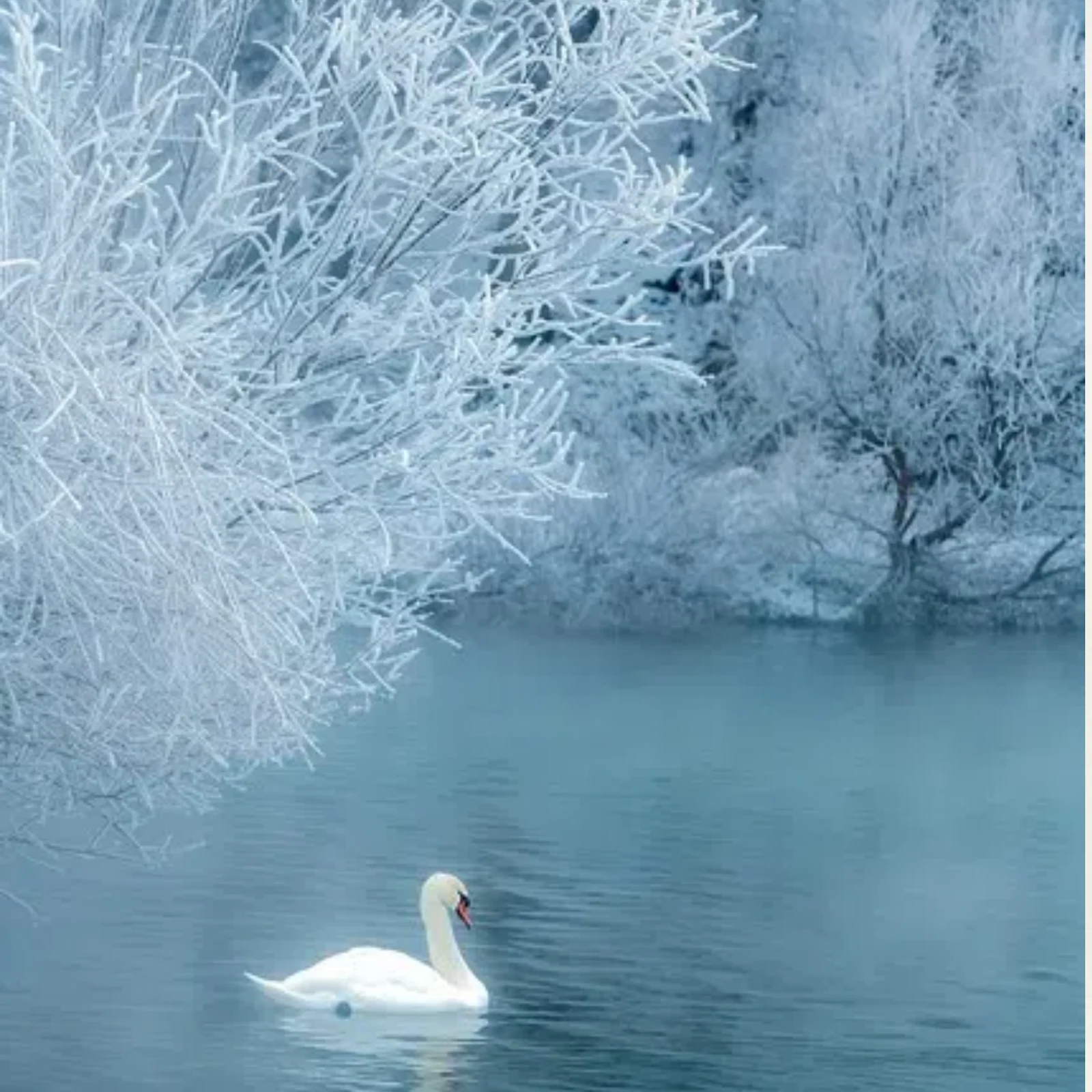 EMS Myoslim Electrical Muscle Stimulation Body Shaping Muscle Massager Fat Burner Weight Loss Butt Lifting Shaper