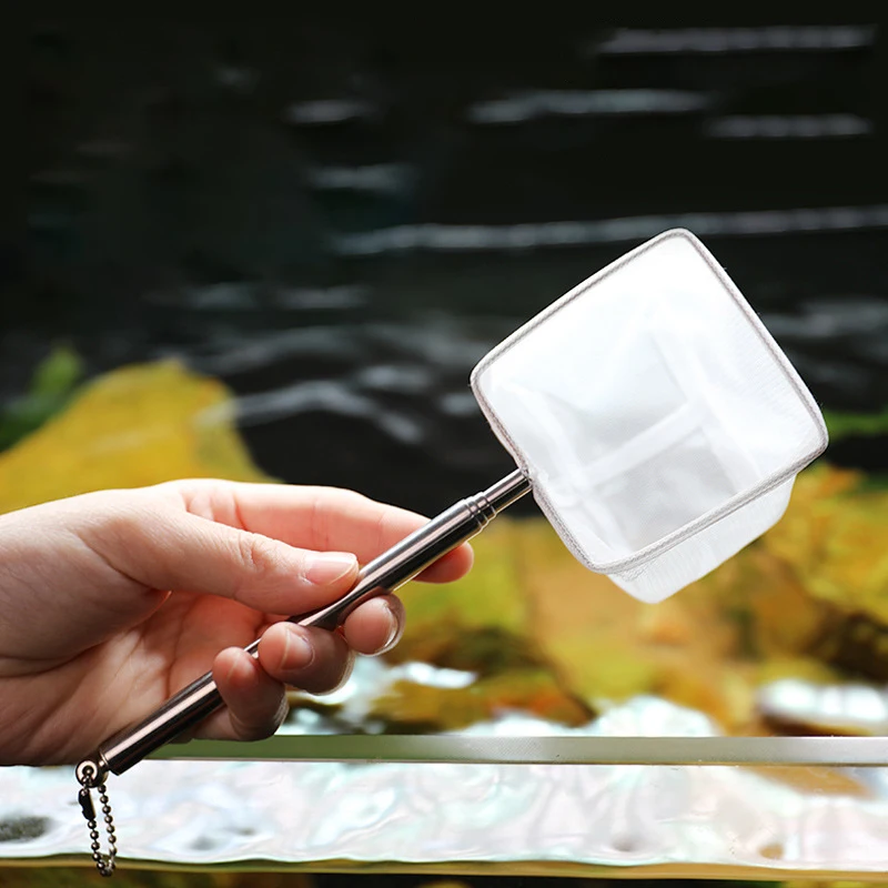 Aquarium Quadratisches Fischernetz Mit Saugnapf Ausziehbare Lange Griff Angelausrüstung Für Fang Fisch Garnelen Tank Saubere Lieferungen – Detail 6