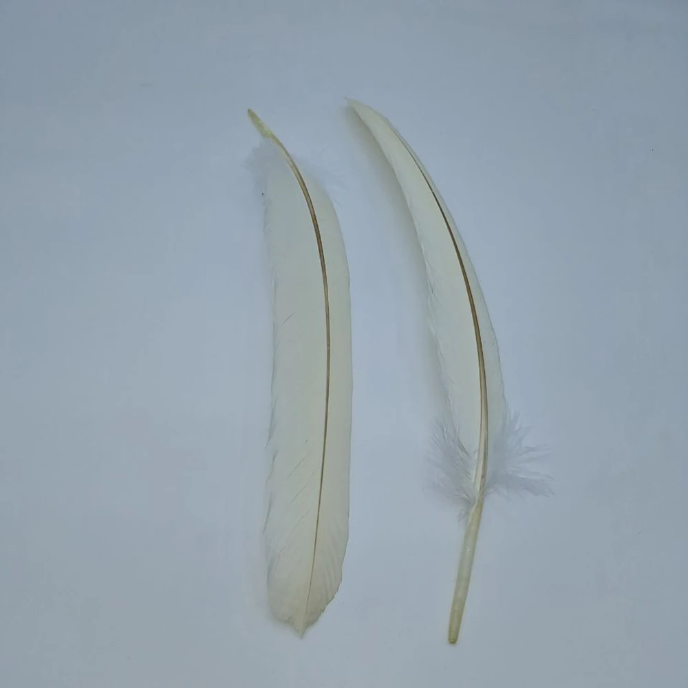 Wholesale 10Pcs/Lot Natural Feathers for Crafts 40-45cm/16-18inch Long White Pheasant Feather Decor DIY Plumes Decoration