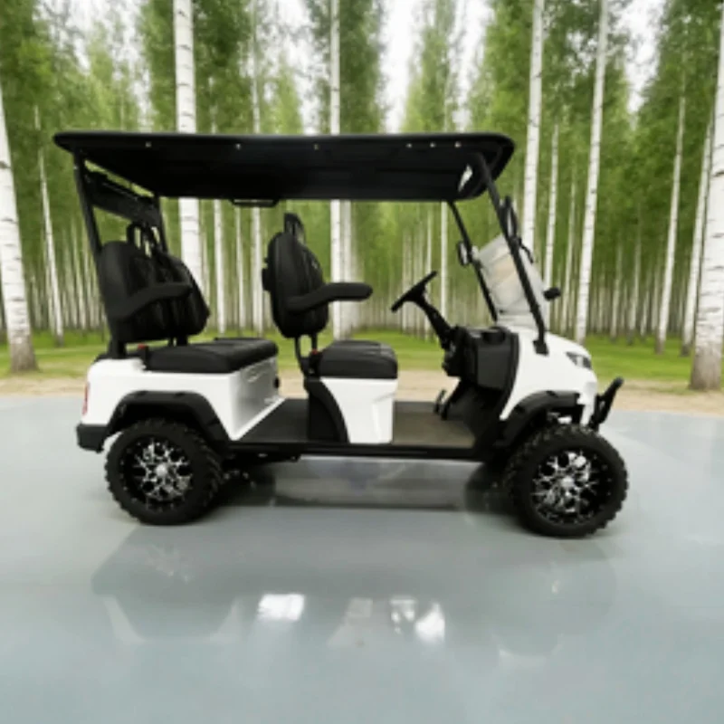 

Street Legal Lithium Off-Road Karts Aluminium Electric Golf Cart Buggy With Black High-End Seats With Armrests Gear Adjustment