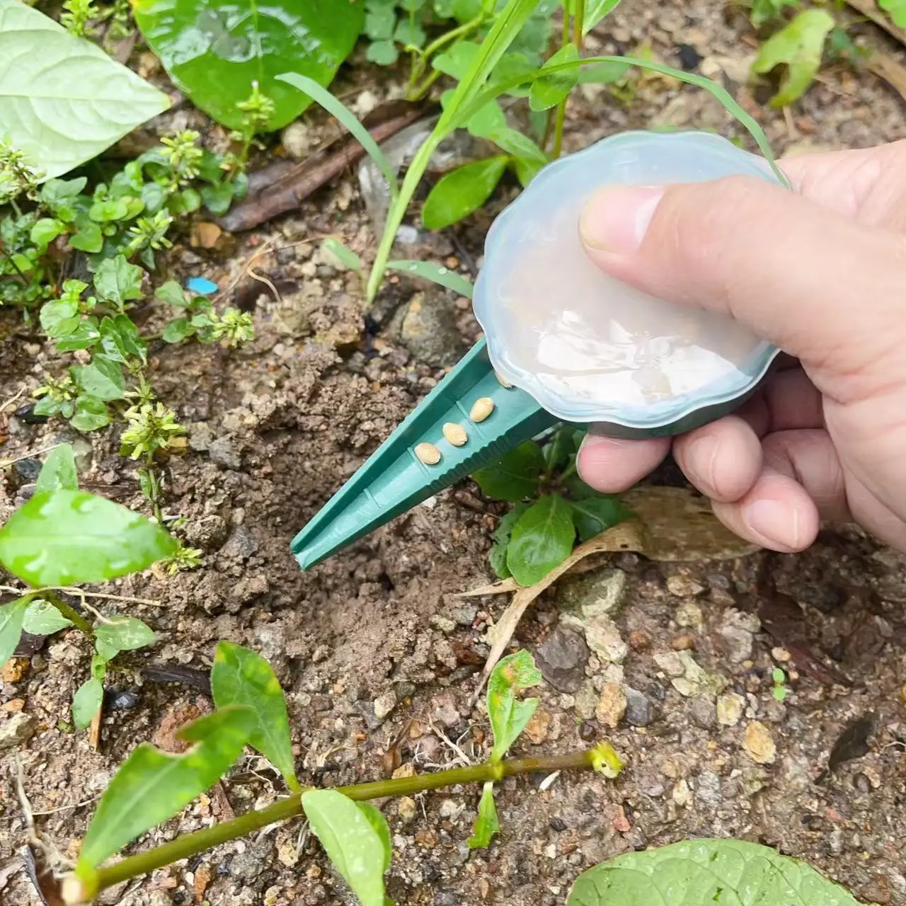 Gardening Tools Tomato Pepper Hole Plate Seeder 5-gear Adjustable To Adapt To Various Seeds