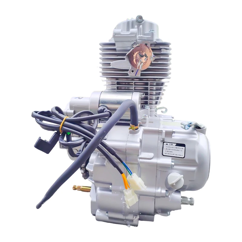 Zongshen Factory Zongshen CG200D-B 200cc 4 Stroke Engine Complete Motorcycle Engine Motor ZS167FML