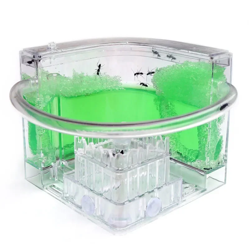 Thumbnail 3 - #30 Best Ant Farms to Buy In 2026