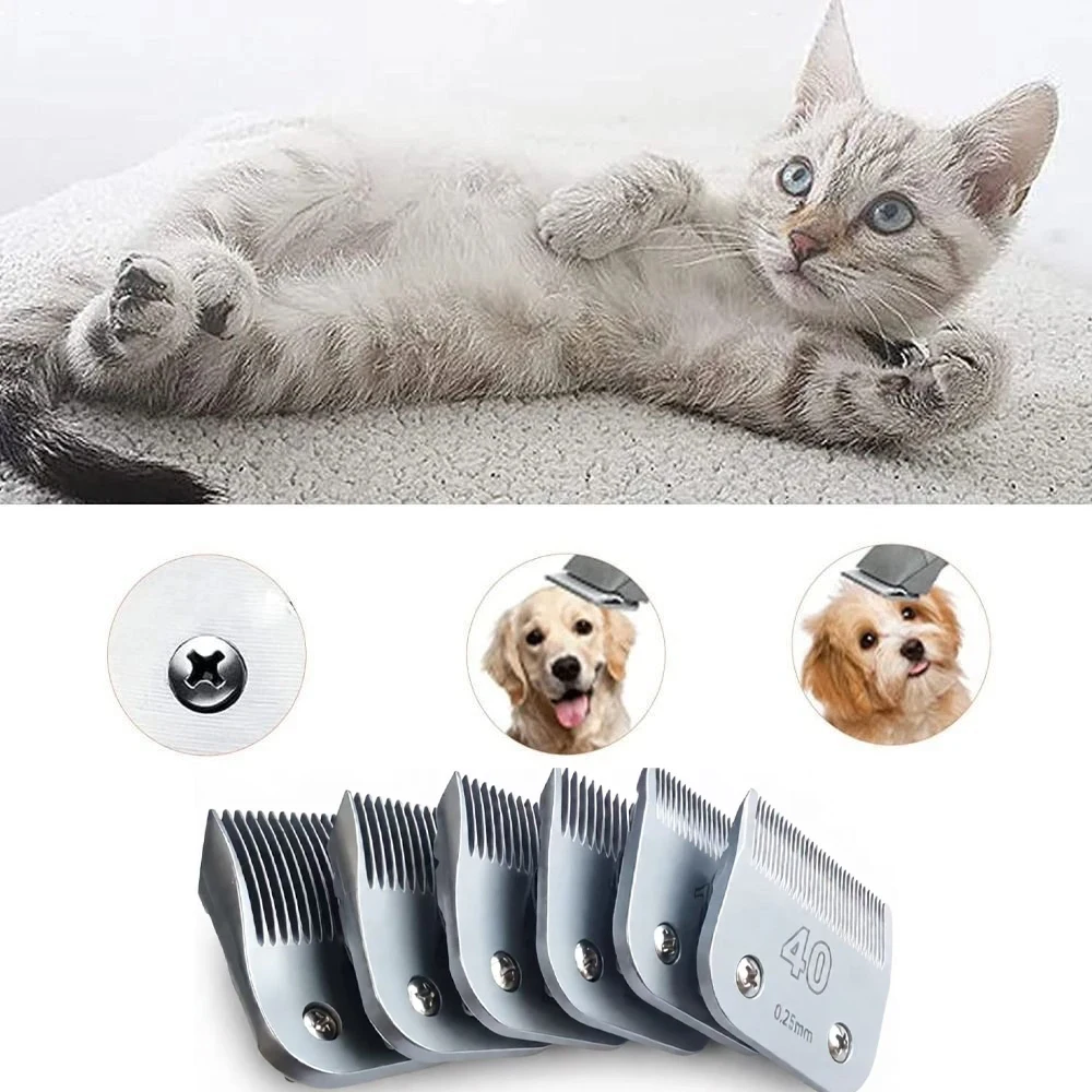 A5 Klinge Passend für die Meisten Andis & Oster Tierhaarschneider Heiniger Laube Moser Clipper