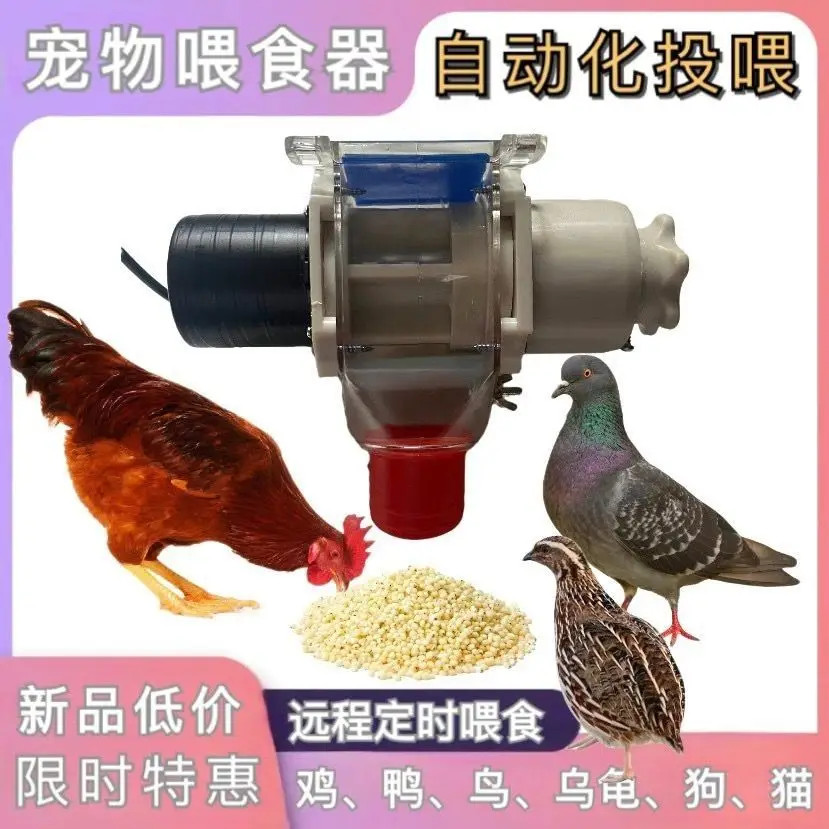 Automatic Poultry Feeder with Timer for Chickens Ducks Pigeons Geese Turtles - Efficient and Convenient