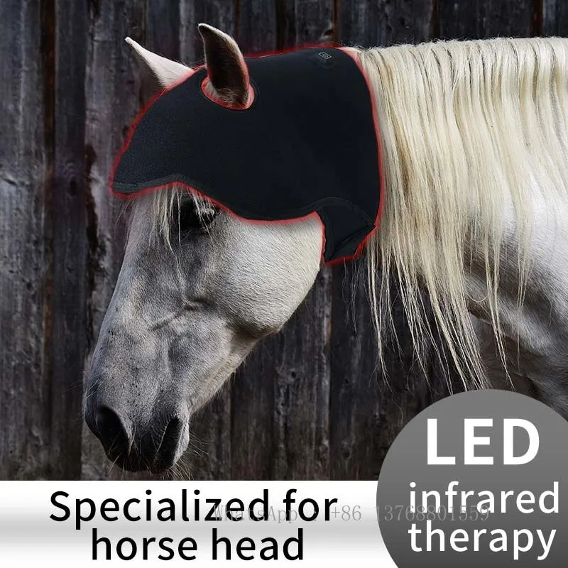 Built In Battery Red Light Therapy For Horse Leg Hoof Head Led Therapy Belt For Horse Bemer Therapy The Blanket Horses