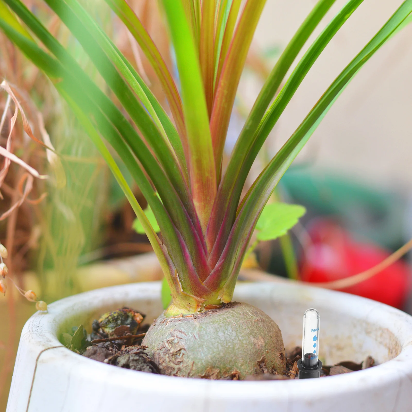 

4Pcs Moisture Gauge Kit for Potted Plants Water Level Display Indicator Easy Read Buoy System Outdoor Weather Resistant Design