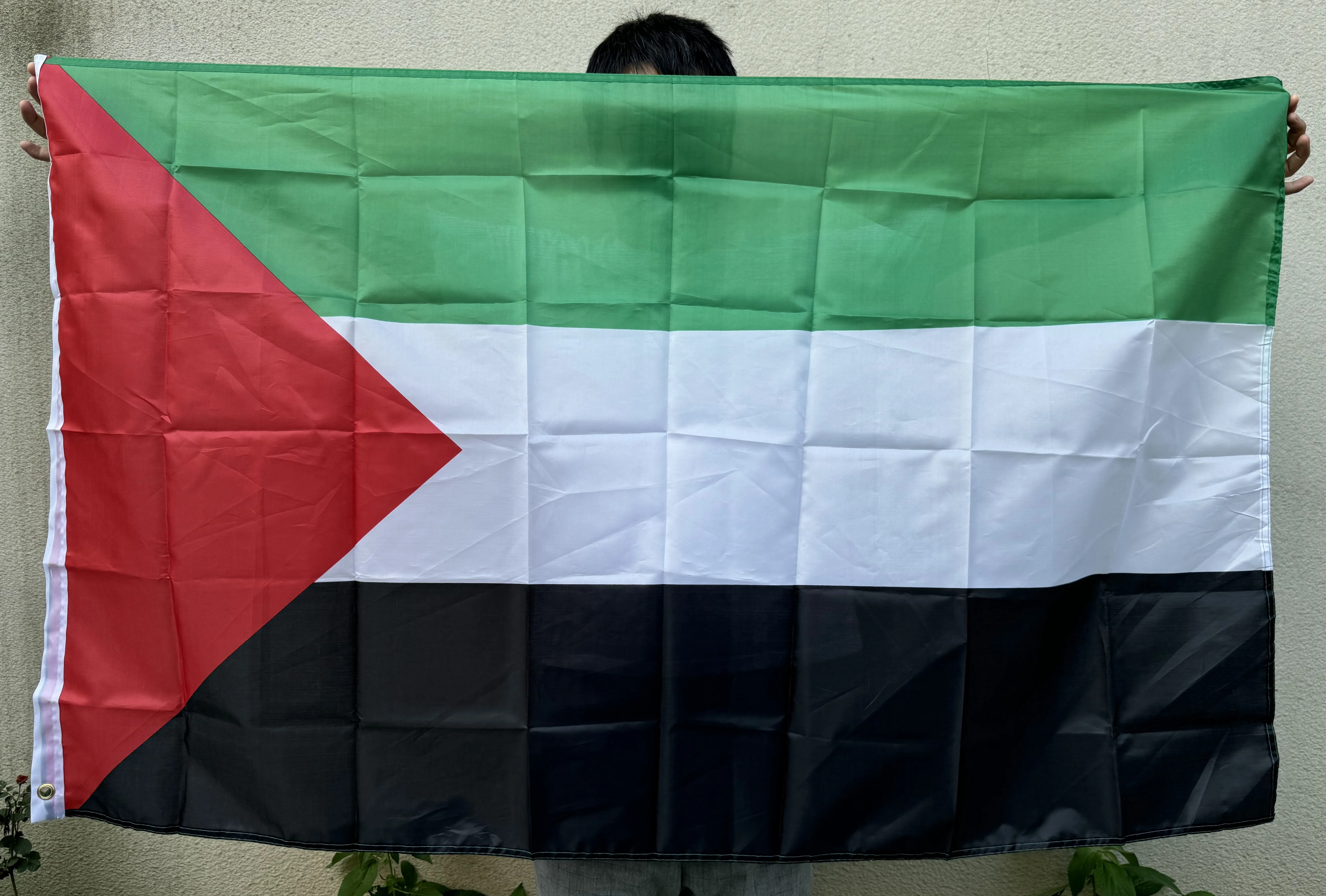 

QFB 3x5ft Palestine Country National Flag 90x150cm hanging High Quality Polyester Gaza Palestinian flag banner for Decoration