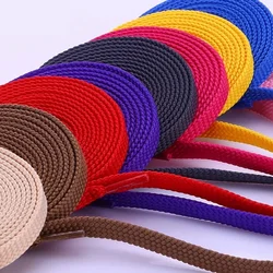 Double Lacets Plats Classiques pour Homme et Femme, Creux, Tressés, Lumineux, 26 Couleurs, 1 Paire, SB1