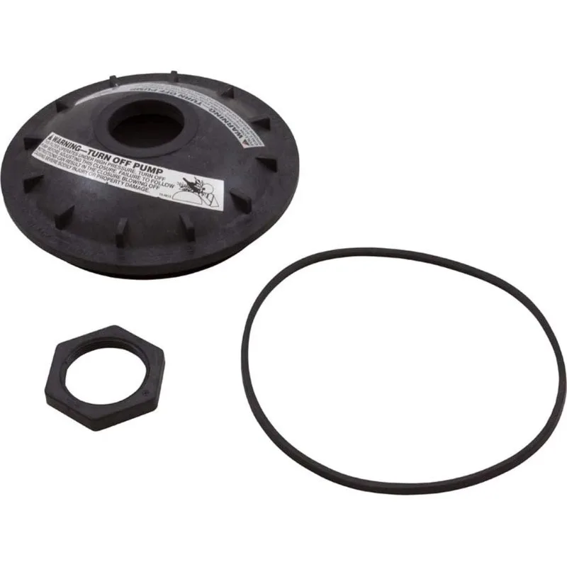 154856 Black Buttress Thread Closure Replacement Kit Triton Pool and Spa Filter