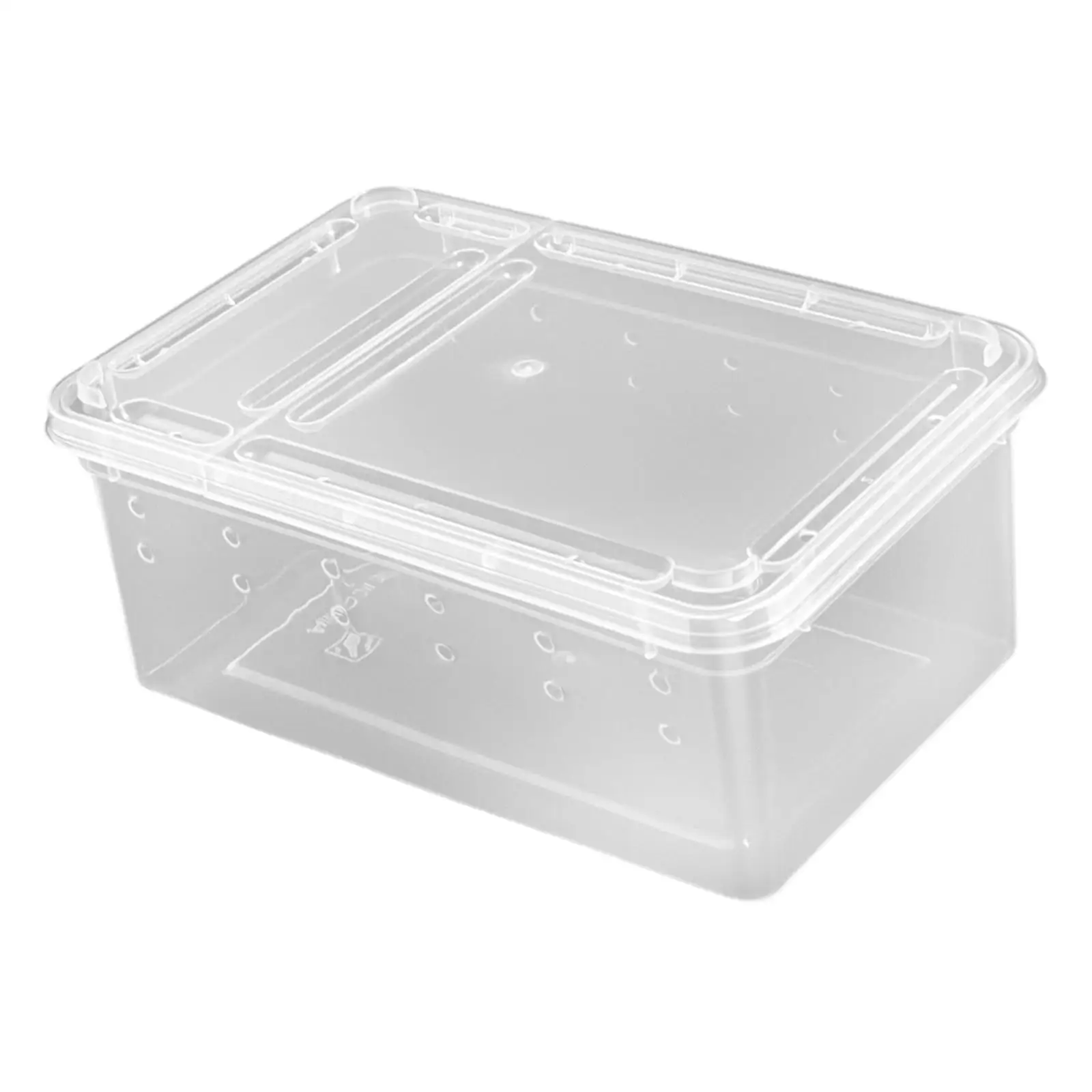 Caja de Alimentación para Reptiles con Tapa, Transportador de Reptiles Portátil, Terrario Transparente Pequeño para Geckos, Ranas con Cuernos, Escarabajos, Tarántulas y Lagartos