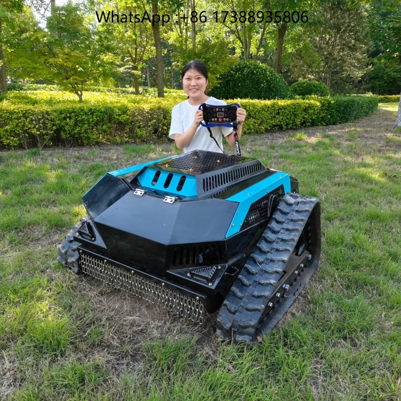 Genuine Factory Direct Garden Tools and Machines Grass Mower Machine Snow Plough Petrol/ Lawn Mower Slope Mower