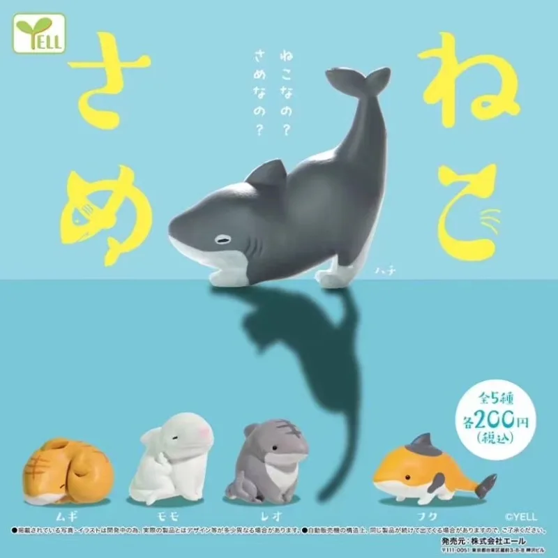 

Spot Shark Cat Quadrangular Shark Cat Combination Mimicry Ornament Gacha Birthday Gift Collection