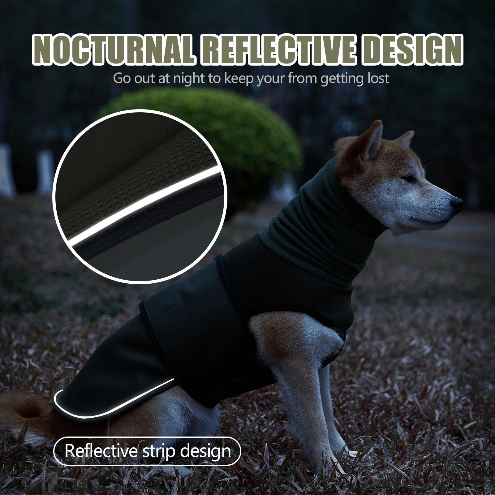 Dog wearing a snug wrap vest with neck warmer