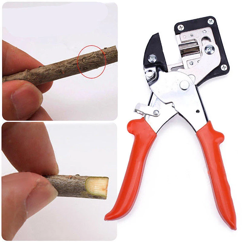 Imagem -04 - Garden Fruit Tree Pro Tesoura de Poda Tesoura Enxerto Ferramenta de Corte Pruner Árvore Engraft Tool Grupo 1pc
