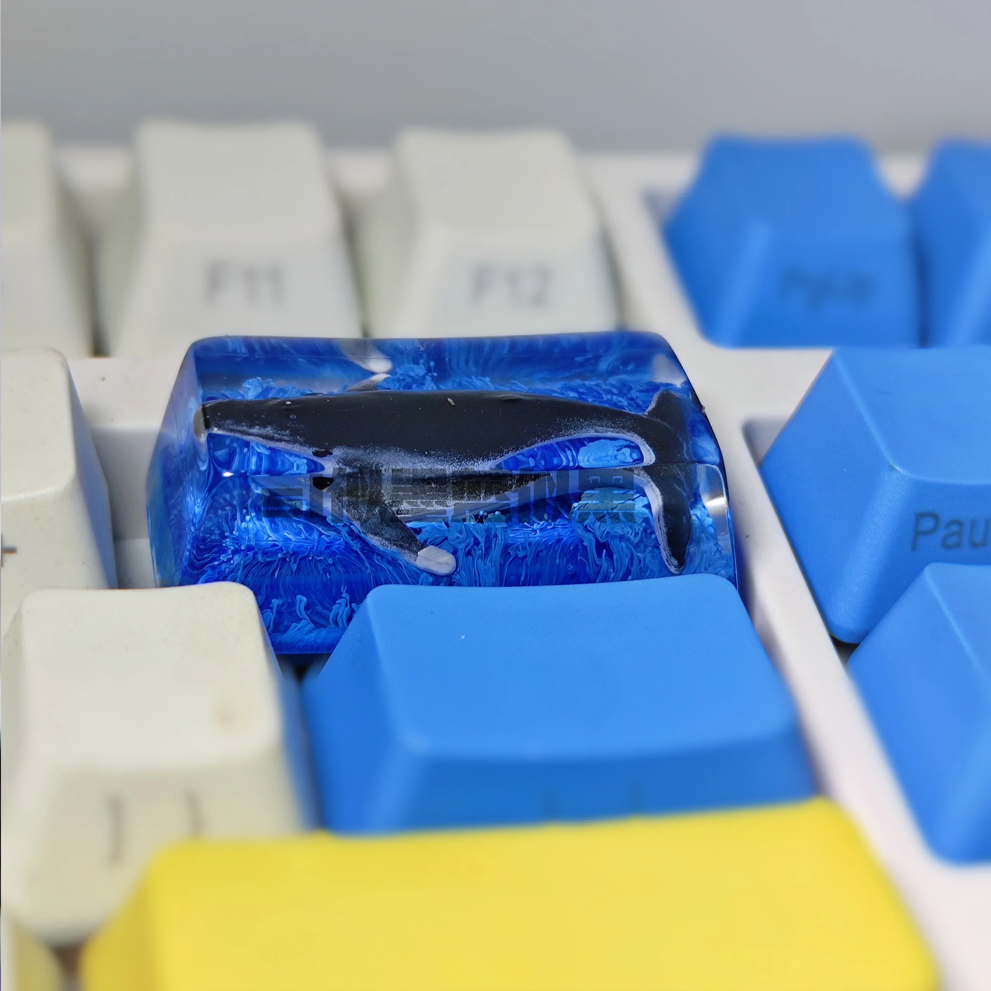 SL Keycaps Center Mechanical Keyboard Keycap Whale Fall  Light Transmission Keycaps Resin Ergonomics Pc Gamer Accessories Custom