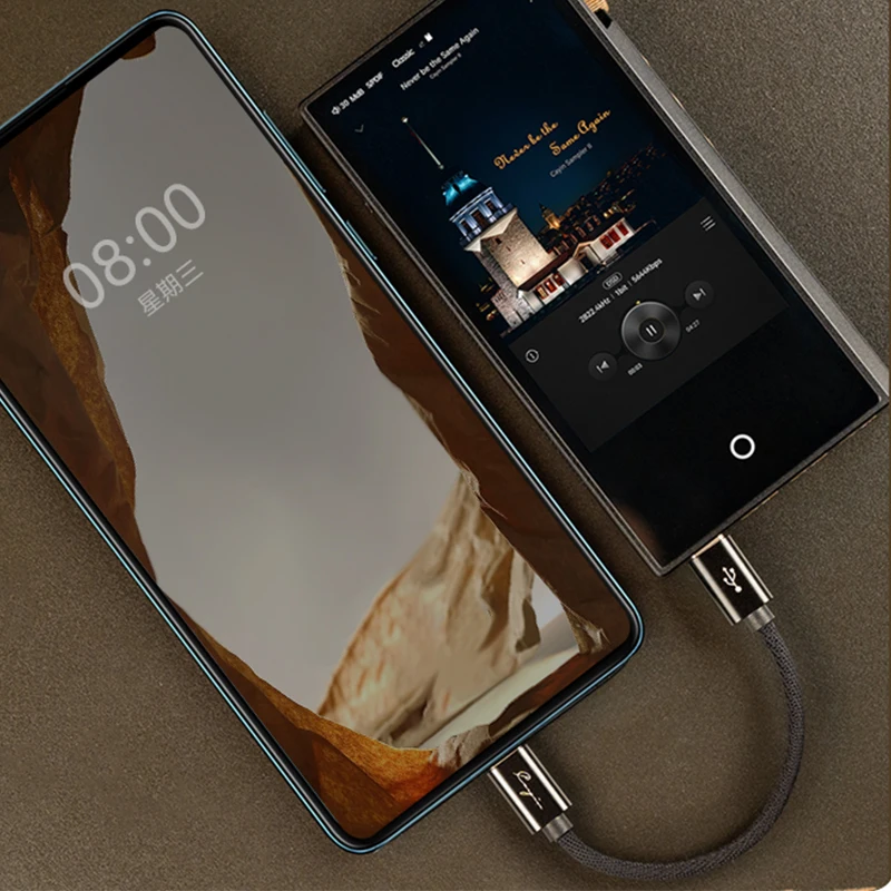 Cayin CS-C2C USB Type C ถึง USB Type C OTG สาย N3Ultra N7 USB DAC