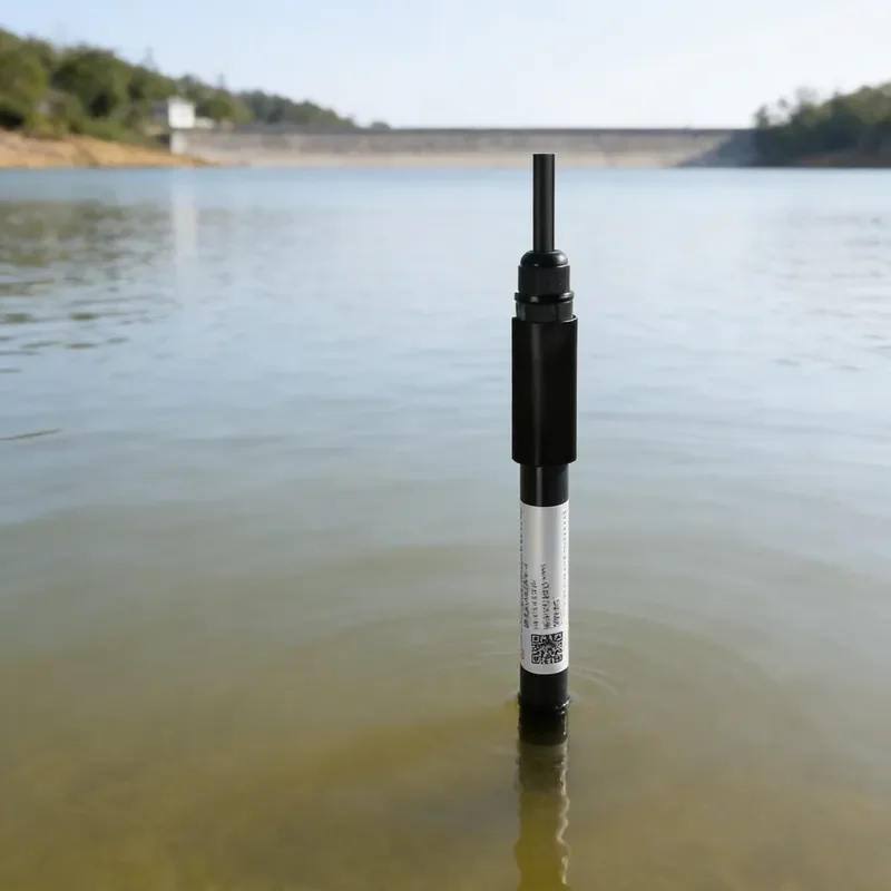 RK500-12 Type A pH Sensor High Stability Industrial pH Electrode with Waterproof Cable for Chemical Industry Water Analysis