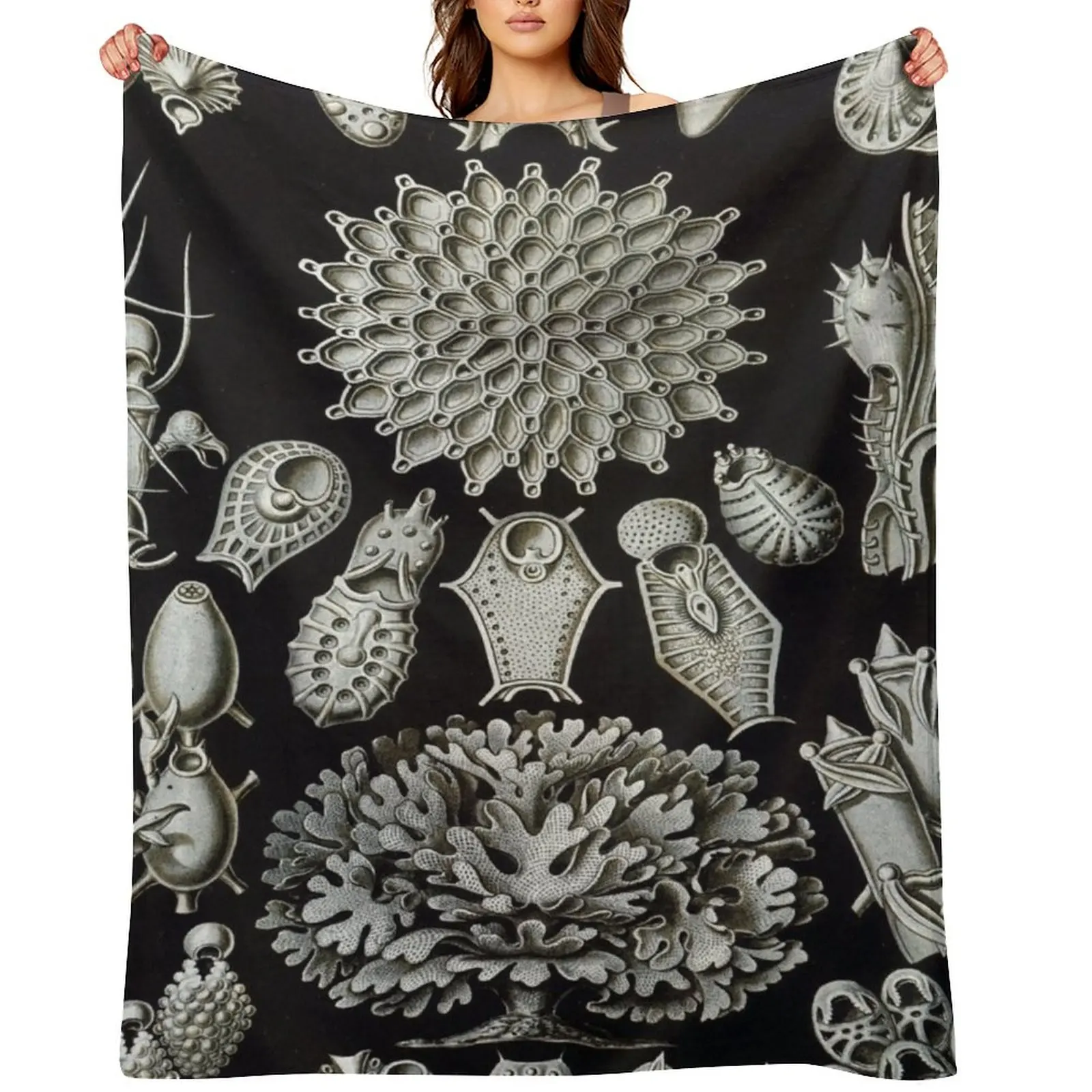 

Haeckel Bryozoa 33 Drawing Throw Blanket warm winter Stuffeds Picnic Winter beds Blankets