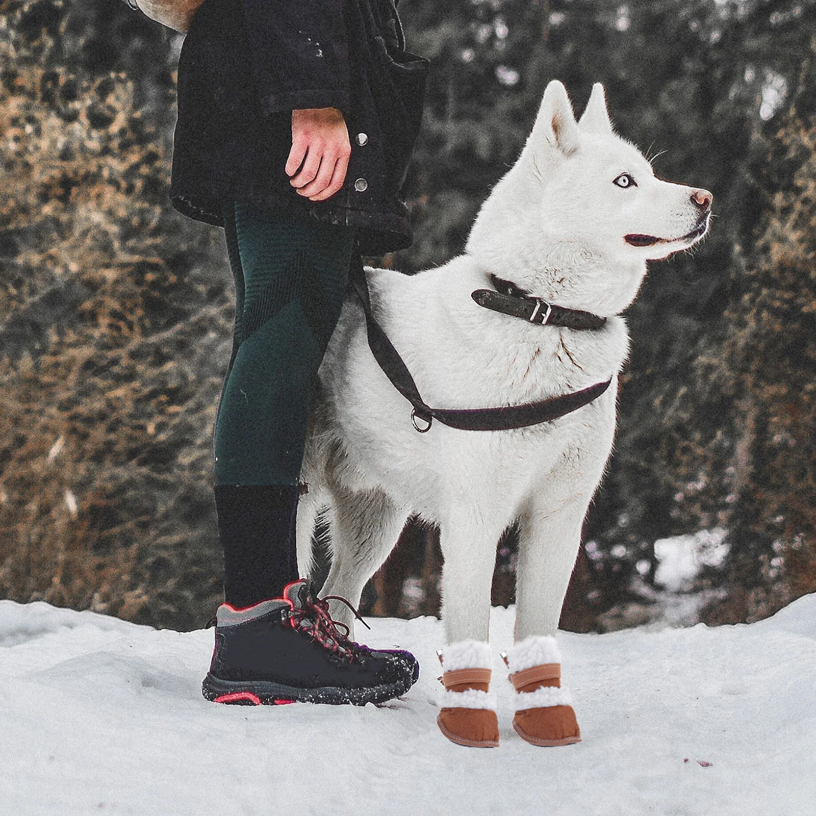 

4pcs Snow Set Pet Short Boots For Dogs Winter Hiking Running Outdoor Use Paw Protectors Anti Skid Soles Puppy Shoes Chihuahua